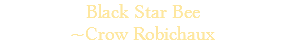 Black Star Bee ~Crow Robichaux
