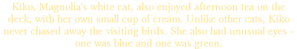Kiko, Magnolia's white cat, also enjoyed afternoon tea on the deck, with her own small cup of cream. Unlike other cats, Kiko never chased away the visiting birds. She also had unusual eyes - one was blue and one was green.